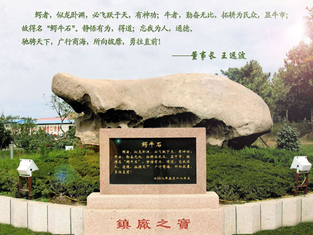 ���泧ò12